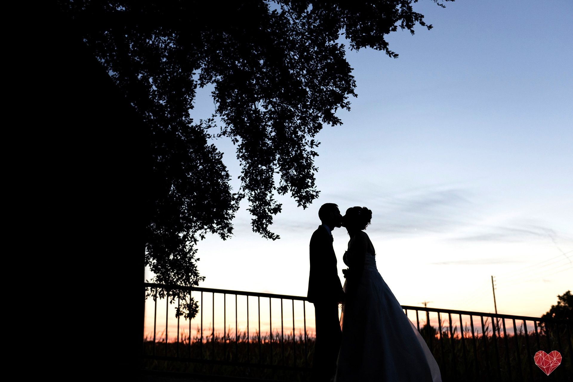 Fotografo De Bodas Lleida Montse David Jenni Carbo Love Photography