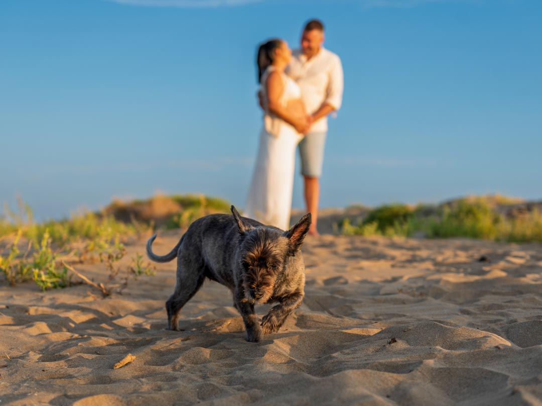 Sesión de embarazo en el Delta de l'Ebre
